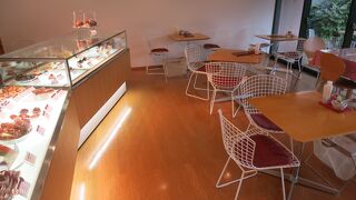 青山墓地に面したカフェ