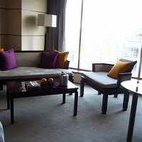 リビングスペースもゆったりしています