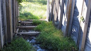 駅からも近い　【見沼通船堀】