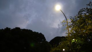 お花見で有名なスポット