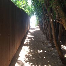 パパイロアビーチへの小径