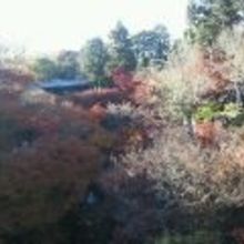 これを撮るためにすごい労力が…