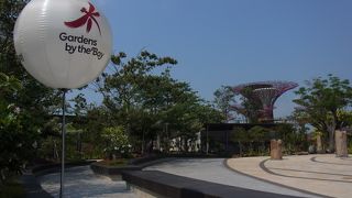 シンガポールに行ったこら、ガーデンズ バイ ザ ベイに行こーと！ 