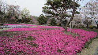 なかなか広い緑水苑