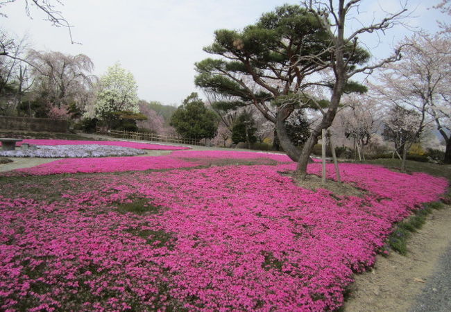 なかなか広い緑水苑