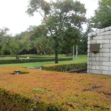 右側にチラッと見えている建物がレストランの外壁になります