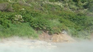 ここも行きましょう！