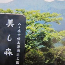 がんばって登りました