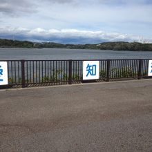 駐車場から階段を上がると池が見えます