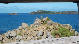 渡れませんので眺めて写真を・・