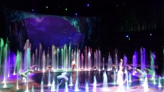 見応えあり！1度は観て下さい。ただし、子供はちょっと怖いかも！？