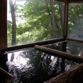 樹に囲まれた静かな温泉