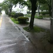 大雨の大濠公園