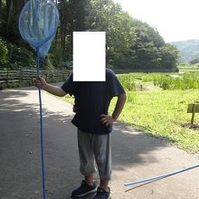 自然を楽しもう