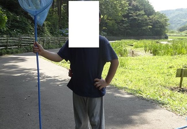 子供とお散歩！メダカやかえるに出会おう