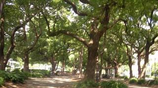 増上寺の周囲にあります