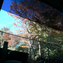 紅葉を横目にゆっくり登っていきます。