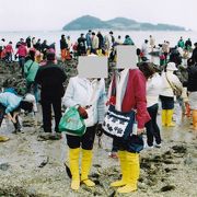 韓国版モーゼの奇跡「珍島海割れ」体験