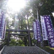 札幌市の保存林に囲まれた神社