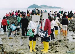 回洞 神秘の海割れ