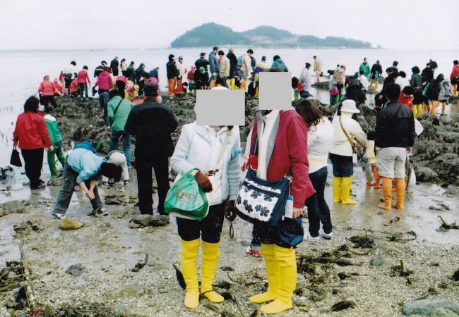 韓国版モーゼの奇跡「珍島海割れ」体験