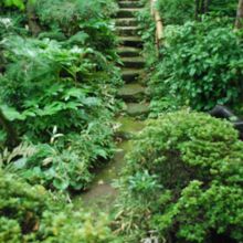 記念館裏、ここから堤防沿いの散策路に出られる