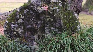 知りませんでした。