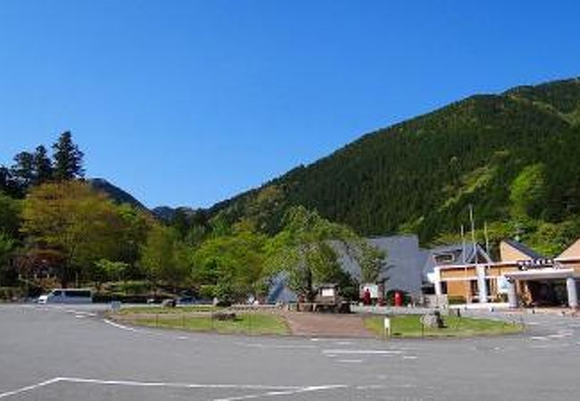 天城グリーンガーデン クチコミ アクセス 営業時間 天城湯ヶ島温泉 フォートラベル