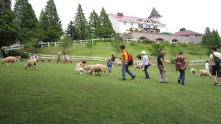 六甲山ではここは外せない。