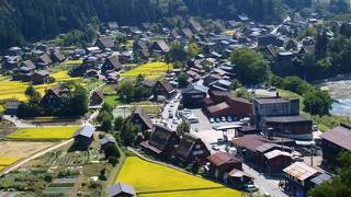 歩いて登ることもできます。