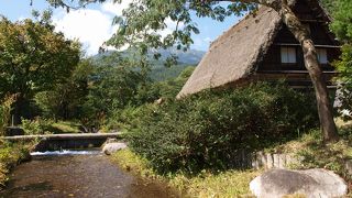 丁寧に整備されています。