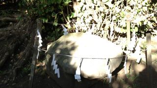 見るからに亀の甲羅模様の石です!!