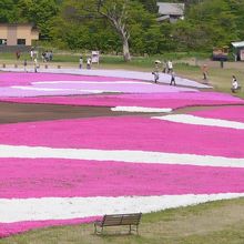 リフトからの眺め
