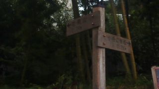 みんなにきれいな花