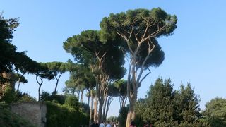 日陰がありません