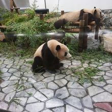 海浜と陽浜かな