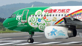 空港を臨む広大な公園。