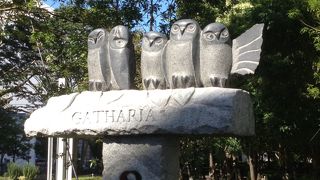 新しくてきれいです。