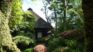 臥龍山荘 --- 「伊予の小京都・大洲」随一の景勝地です。予想以上に素晴らしい場所でした。
