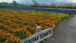 ベストシーズンではなかった