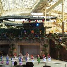 フラダンスステキでした。