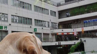 ケンタッキーを買いに行きました