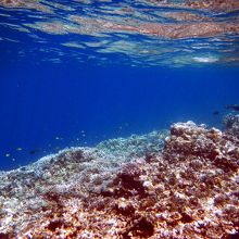 バラス島周辺の海