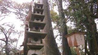 五重の塔になっている