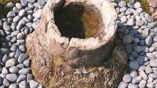 化石とはビックリ