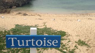 天気が悪くとも圧巻