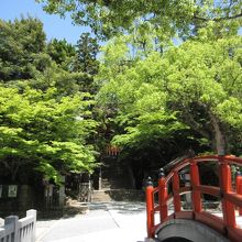 住吉さんといえば、太鼓橋でしょう。