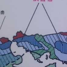 特殊な地帯のようでした。