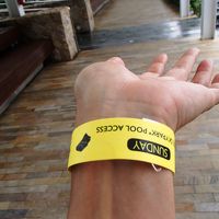 入口で通行証をつけてもらいます