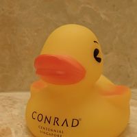 お風呂場にはあひるちゃんがお待ちしてます